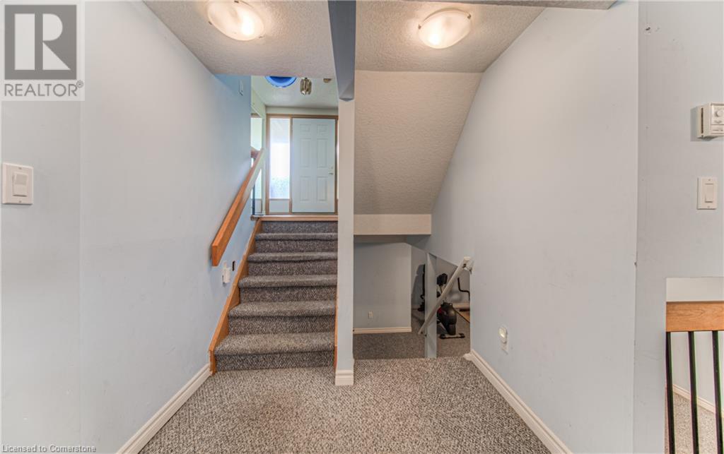 82 Roseneath Crescent, Kitchener, Ontario  N2E 1V9 - Photo 31 - 40737323
