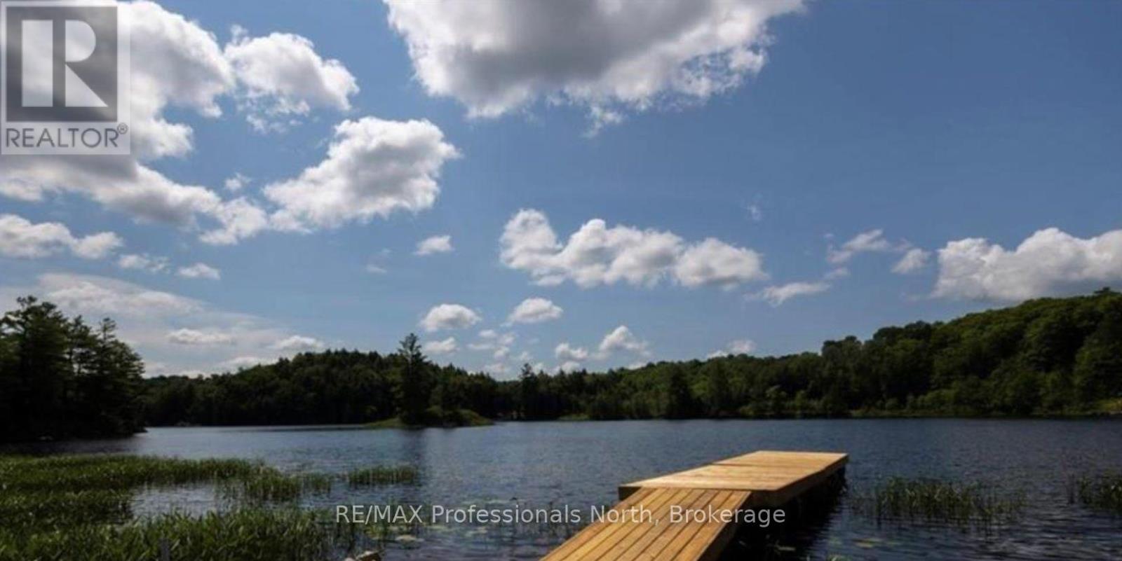 1023 South Ril Lake Road, Lake Of Bays, Ontario  P0B 1A0 - Photo 2 - X12195822