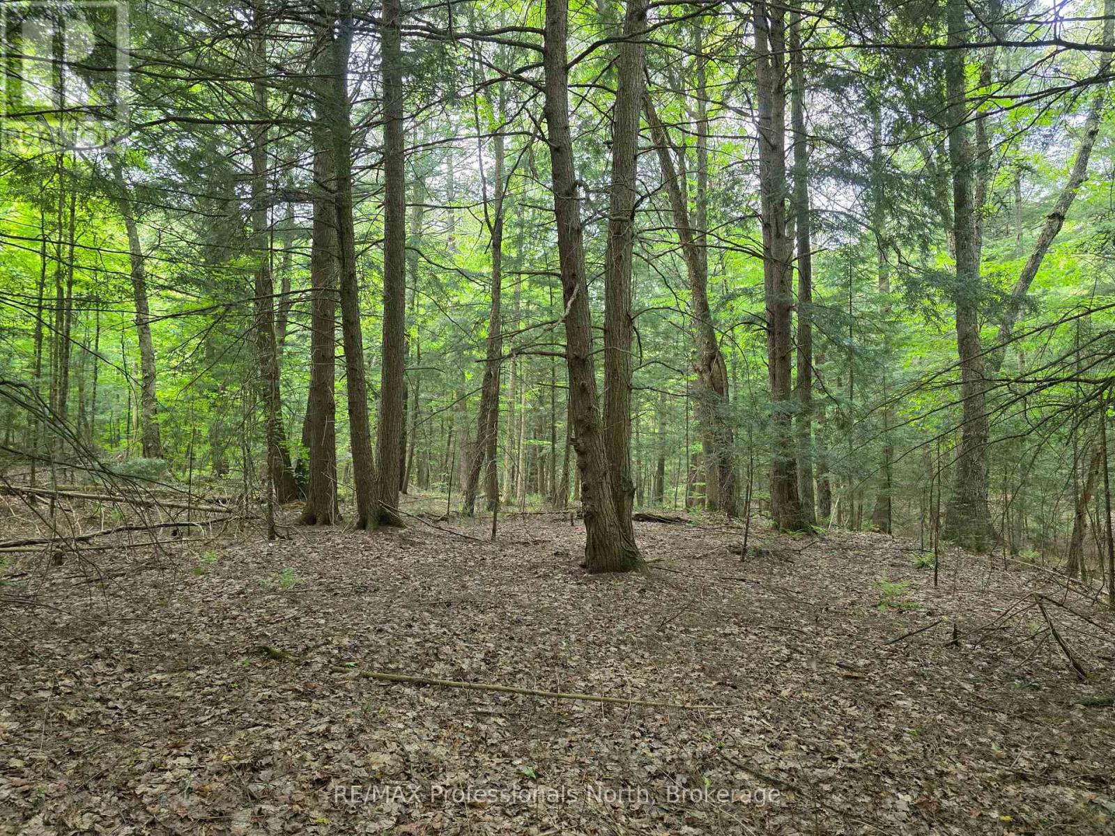 0 25th Line Road, Algonquin Highlands, Ontario  K0M 1S0 - Photo 2 - X12198285