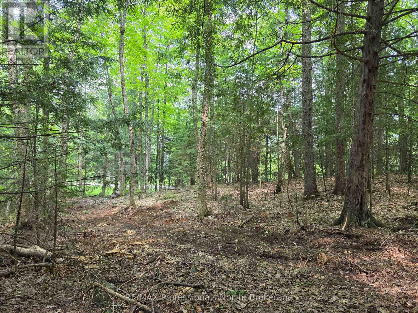 0 25th Line Road, Algonquin Highlands, Ontario  K0M 1S0 - Photo 3 - X12198285