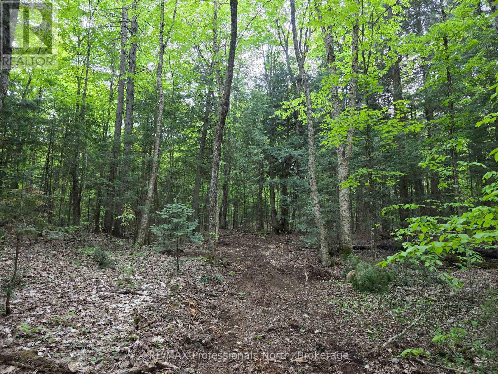 0 25th Line Road, Algonquin Highlands, Ontario  K0M 1S0 - Photo 5 - X12198285