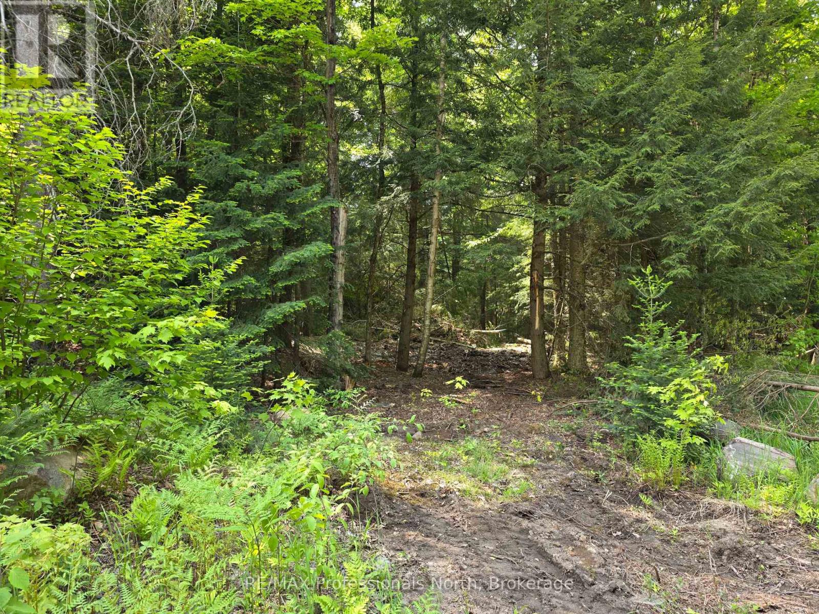 0 25th Line Road, Algonquin Highlands, Ontario  K0M 1S0 - Photo 6 - X12198285