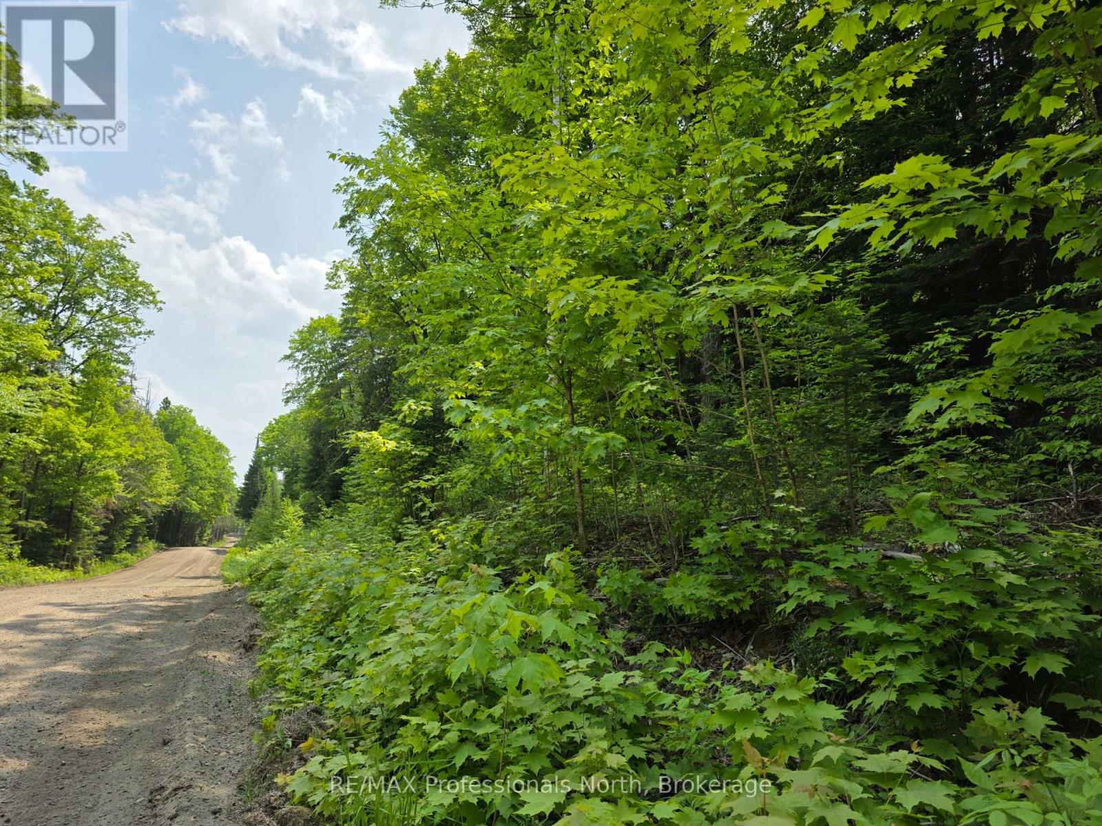 0 25th Line Road, Algonquin Highlands, Ontario  K0M 1S0 - Photo 7 - X12198285