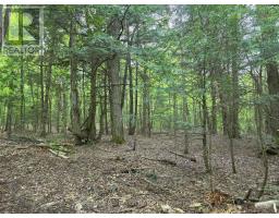 0 25TH LINE ROAD, Algonquin Highlands, Ontario