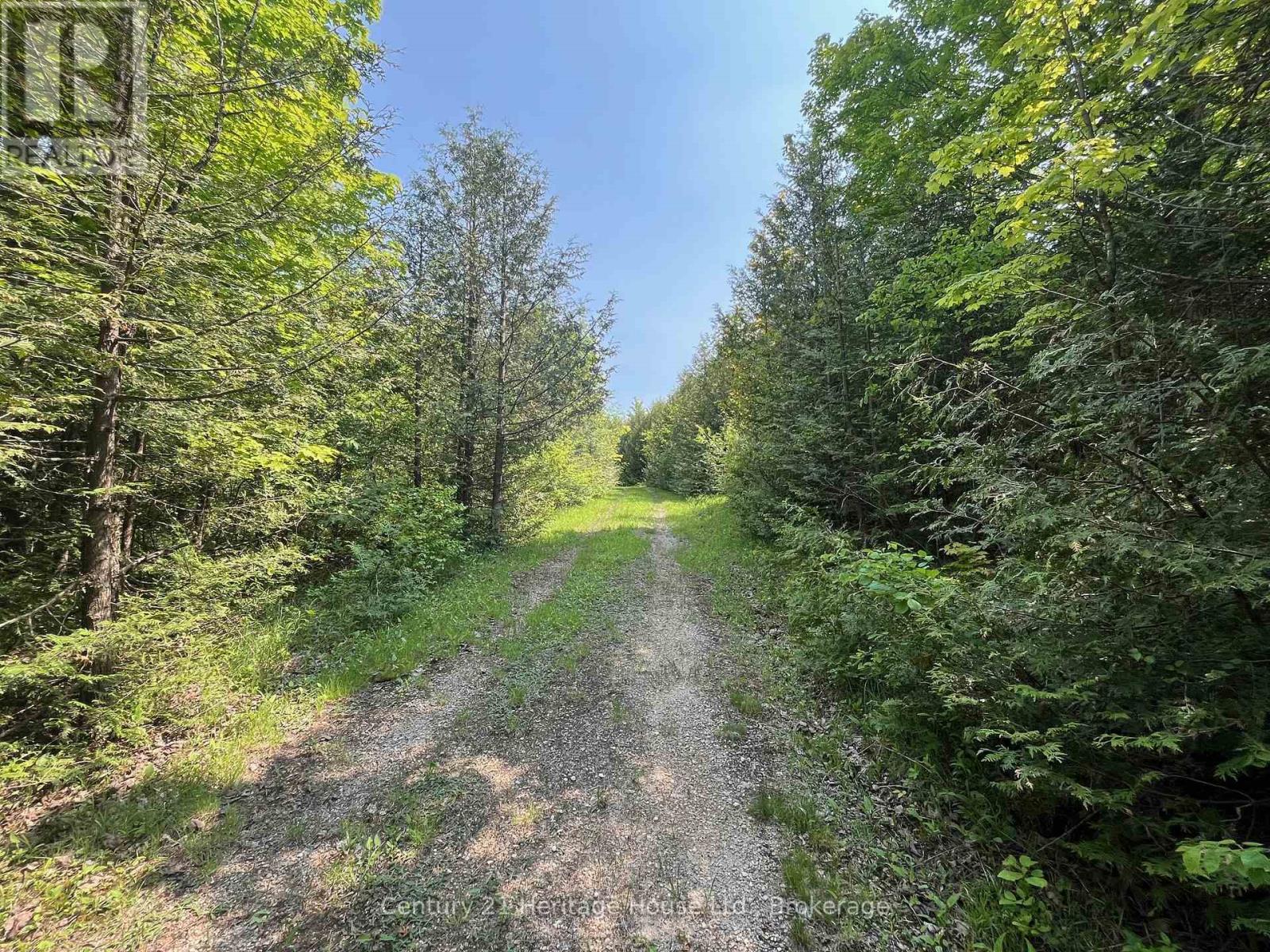 502774 Sideroad 9 Wgr, West Grey, Ontario  N0G 1R0 - Photo 3 - X12198610