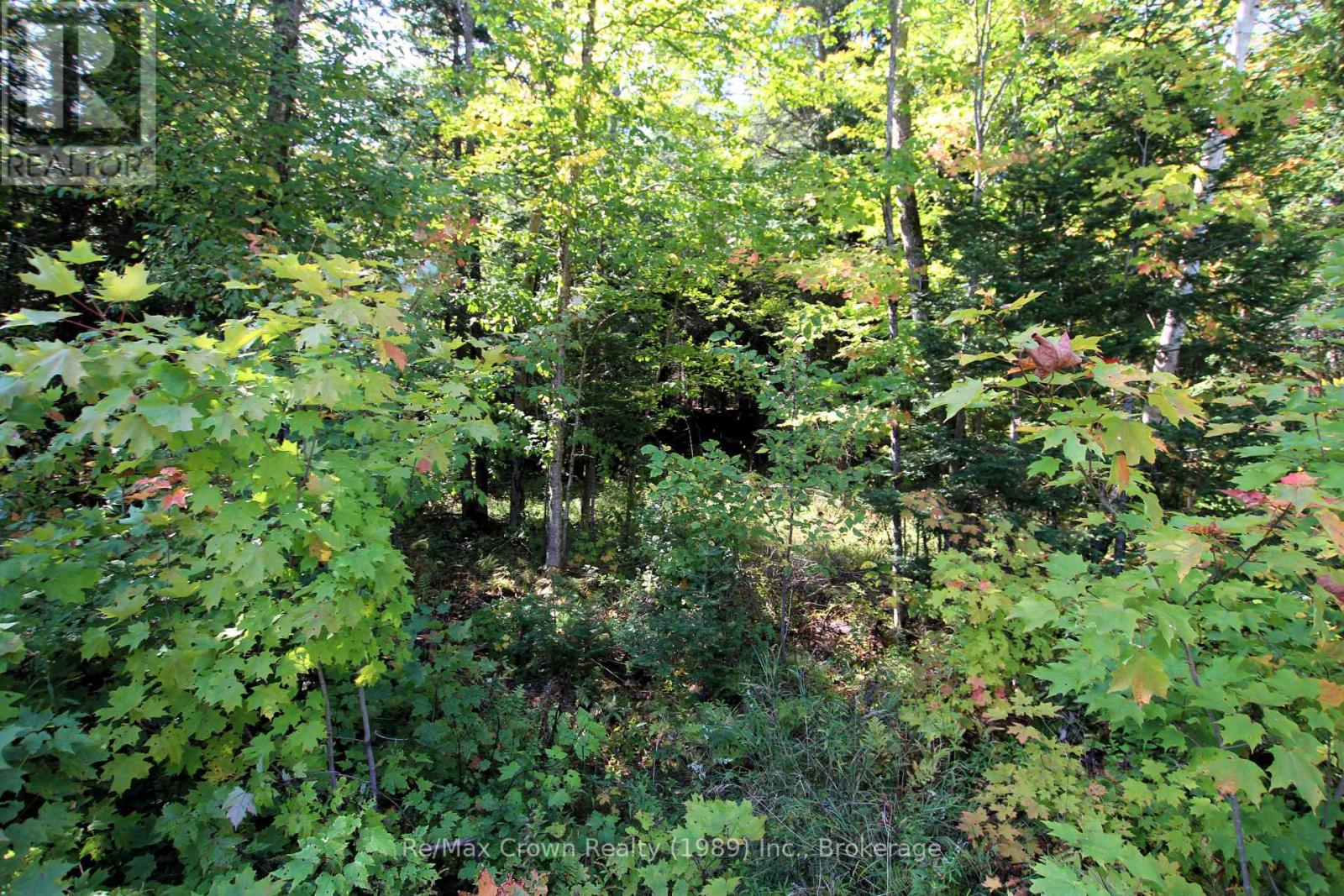 0 Lover's Lane, Parry Sound Remote Area, Ontario  P0H 1S0 - Photo 2 - X12198660