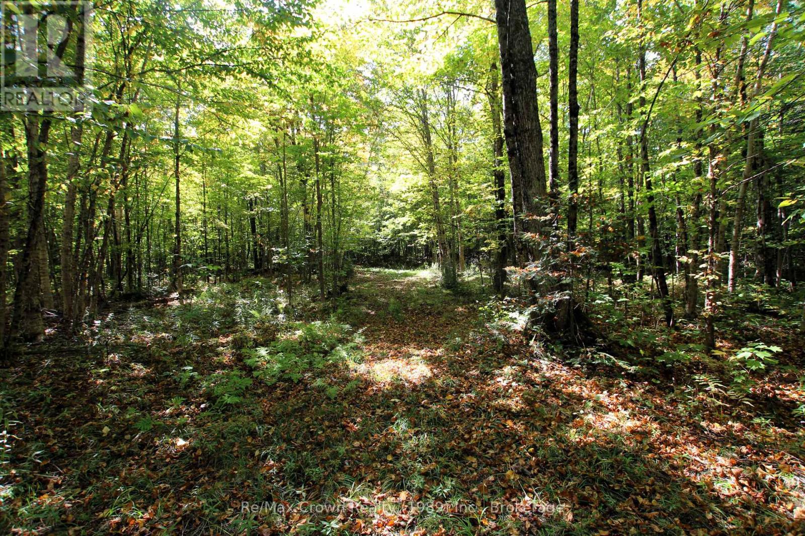 0 Lover's Lane, Parry Sound Remote Area, Ontario  P0H 1S0 - Photo 3 - X12198660