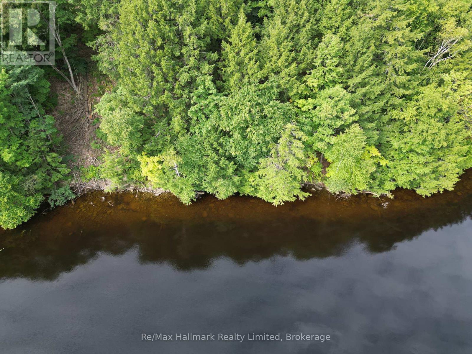 171 Town Line Road E, Huntsville, Ontario  P1H 1G1 - Photo 15 - X12199093