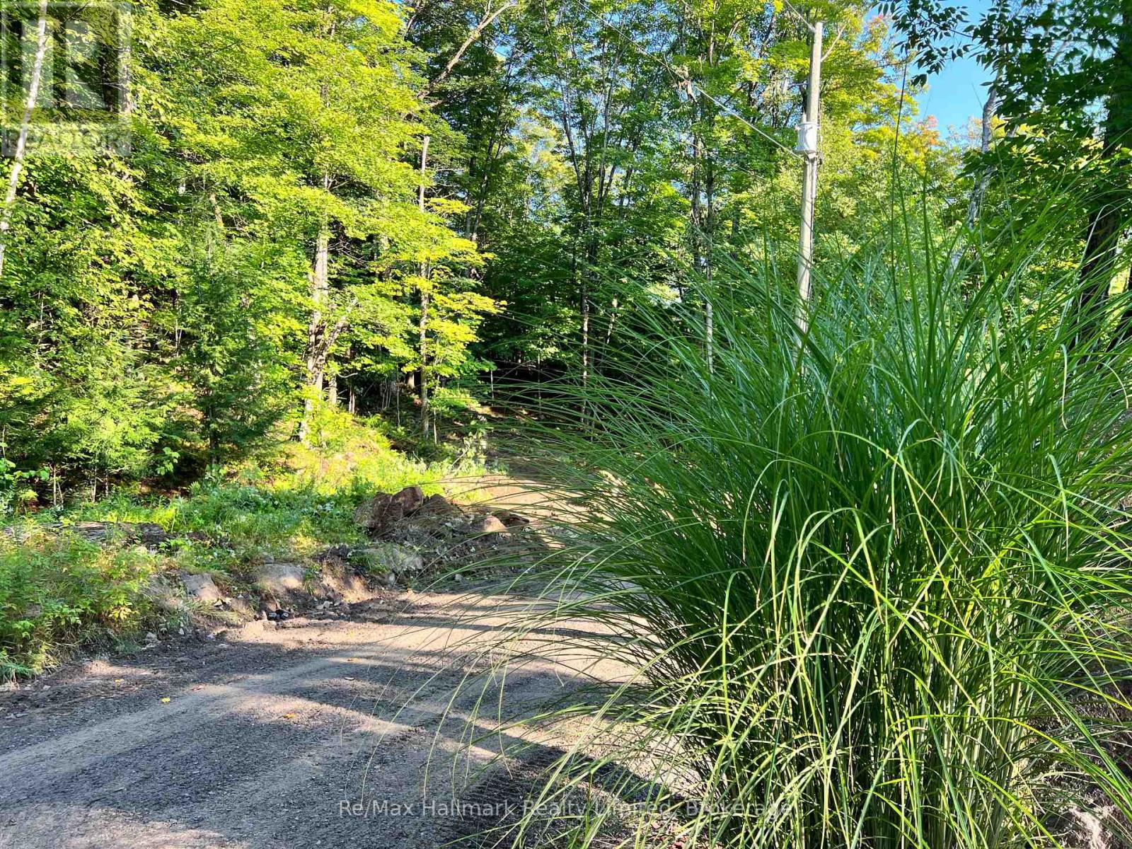 171 Town Line Road E, Huntsville, Ontario  P1H 1G1 - Photo 5 - X12199093