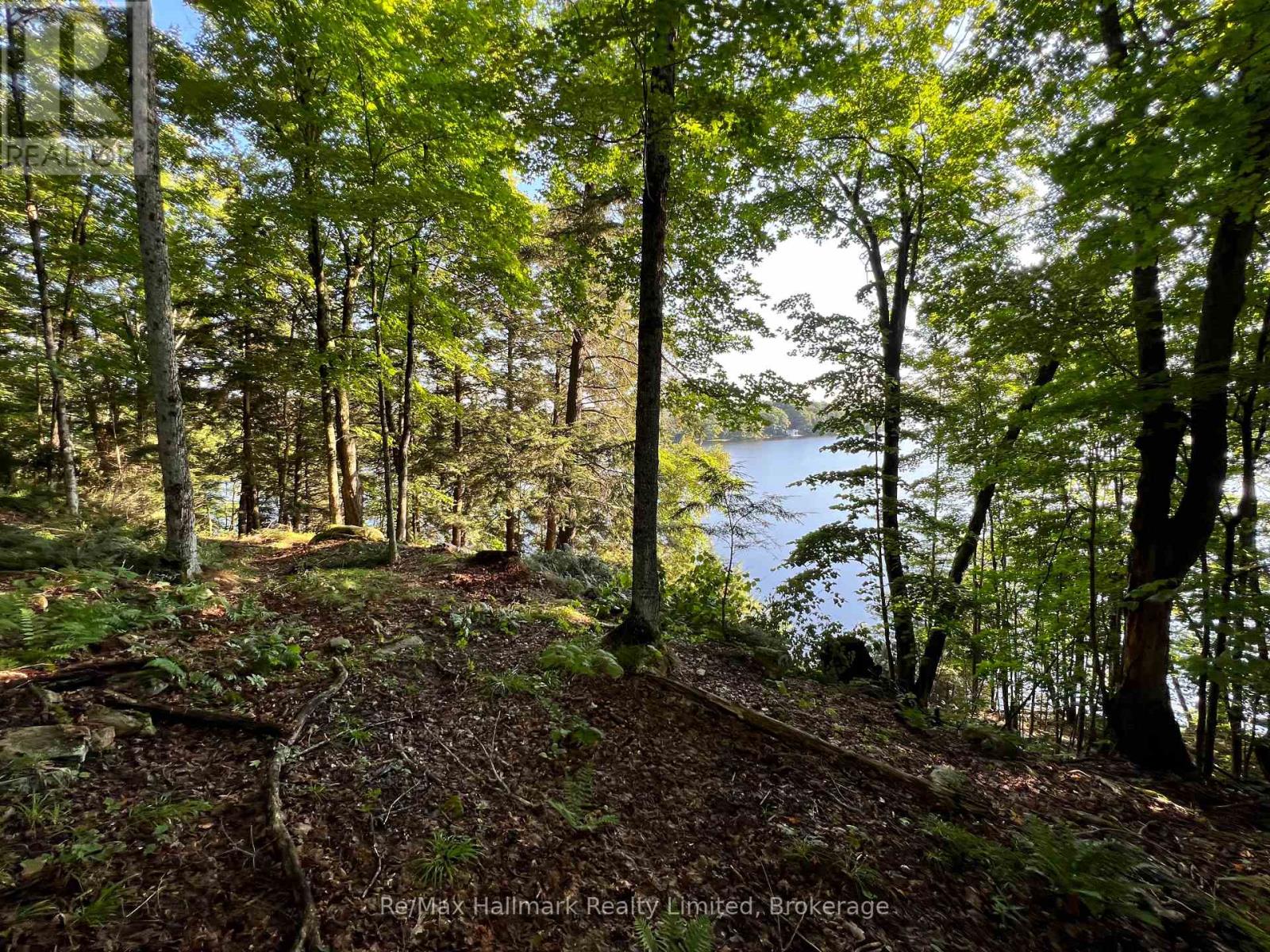 171 Town Line Road E, Huntsville, Ontario  P1H 1G1 - Photo 8 - X12199093