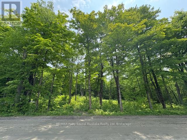0 Loucks Road, Seguin, Ontario  P2A 0B2 - Photo 1 - X12200341