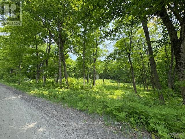 0 Loucks Road, Seguin, Ontario  P2A 0B2 - Photo 3 - X12200341