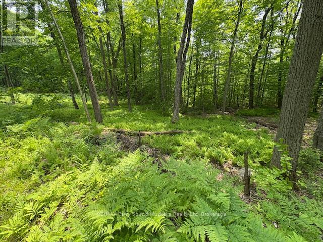 0 Loucks Road, Seguin, Ontario  P2A 0B2 - Photo 7 - X12200341