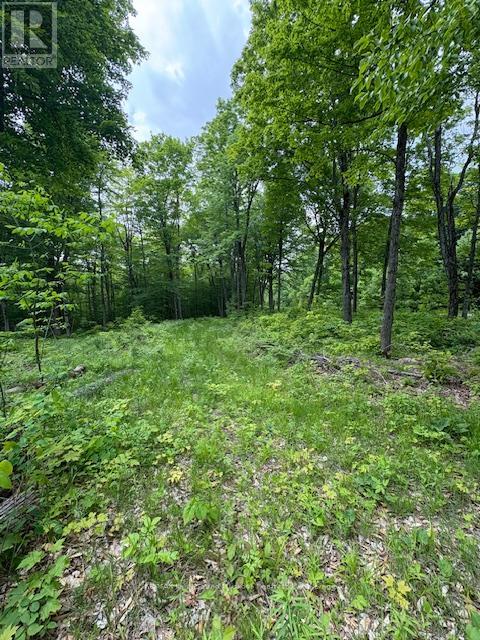 0 Loucks Road, Seguin, Ontario  P2A 0B2 - Photo 8 - X12200341