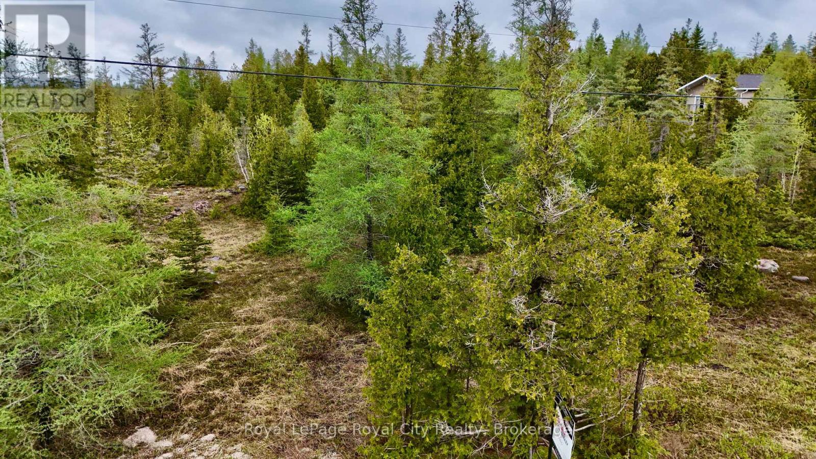 Pt Lt 30 Con 7 Pt 65 Old Pine Tree Road, Northern Bruce Peninsula, Ontario  N0H 1Z0 - Photo 5 - X12201526