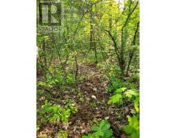 00 SOUTH PORTAGE ROAD, Lake of Bays, Ontario