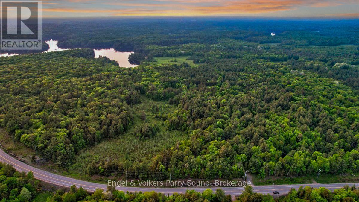 53 Birdwood Lane, Mcdougall, Ontario  P2A 2W7 - Photo 47 - X12202930