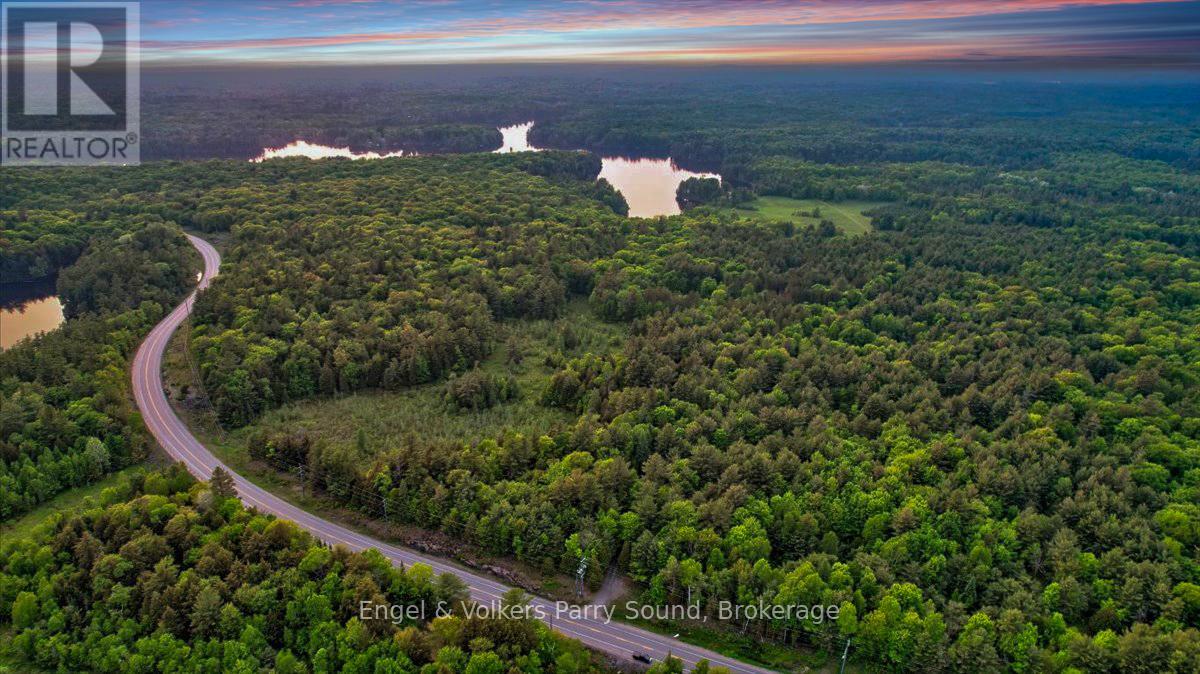 53 Birdwood Lane, Mcdougall, Ontario  P2A 2W7 - Photo 48 - X12202930