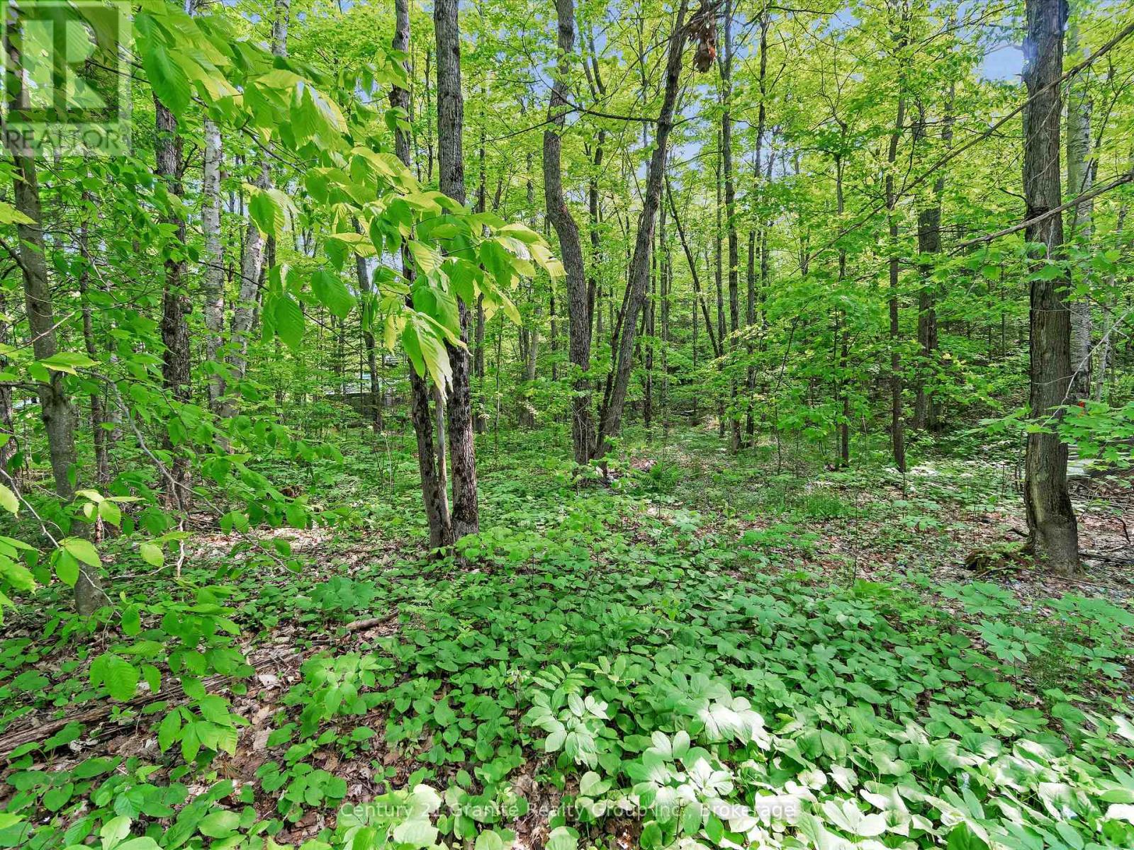 1141 Kanawa Lane, Algonquin Highlands, Ontario  K0M 1S0 - Photo 18 - X12202972