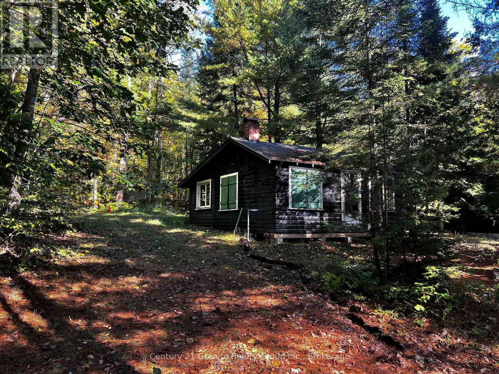 1141 Kanawa Lane, Algonquin Highlands, Ontario  K0M 1S0 - Photo 39 - X12202972