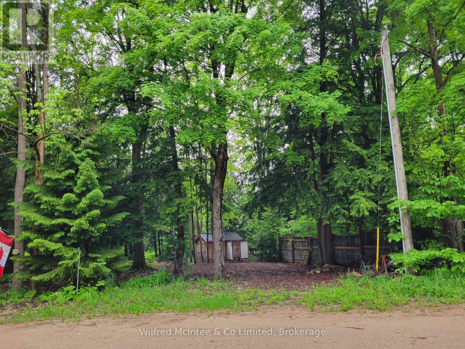 183 Anderson Drive, West Grey, Ontario  N0G 1S0 - Photo 3 - X12202975