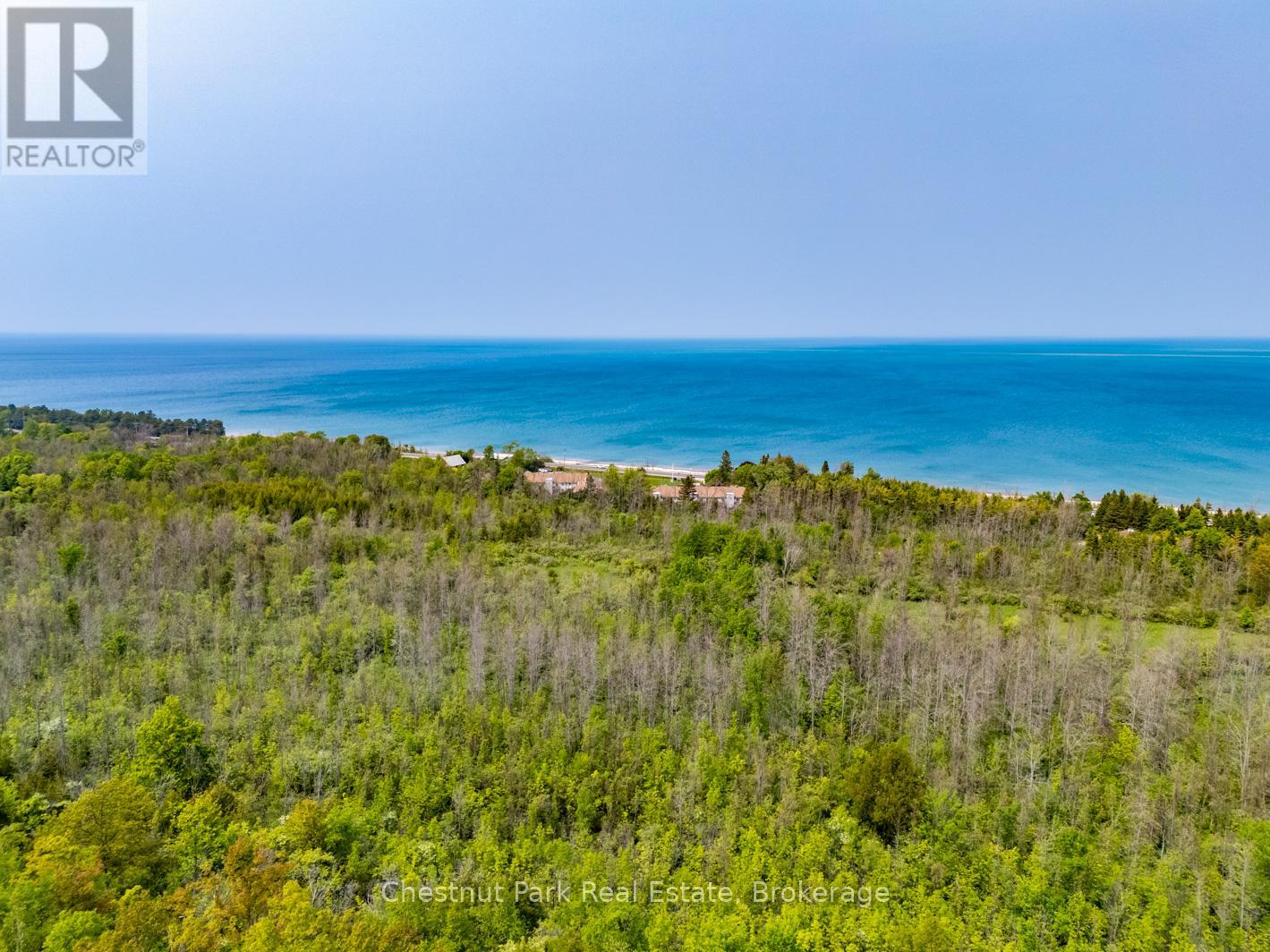 39 - 209472 Highway 26, Blue Mountains, Ontario  L9Y 0V3 - Photo 43 - X12203399