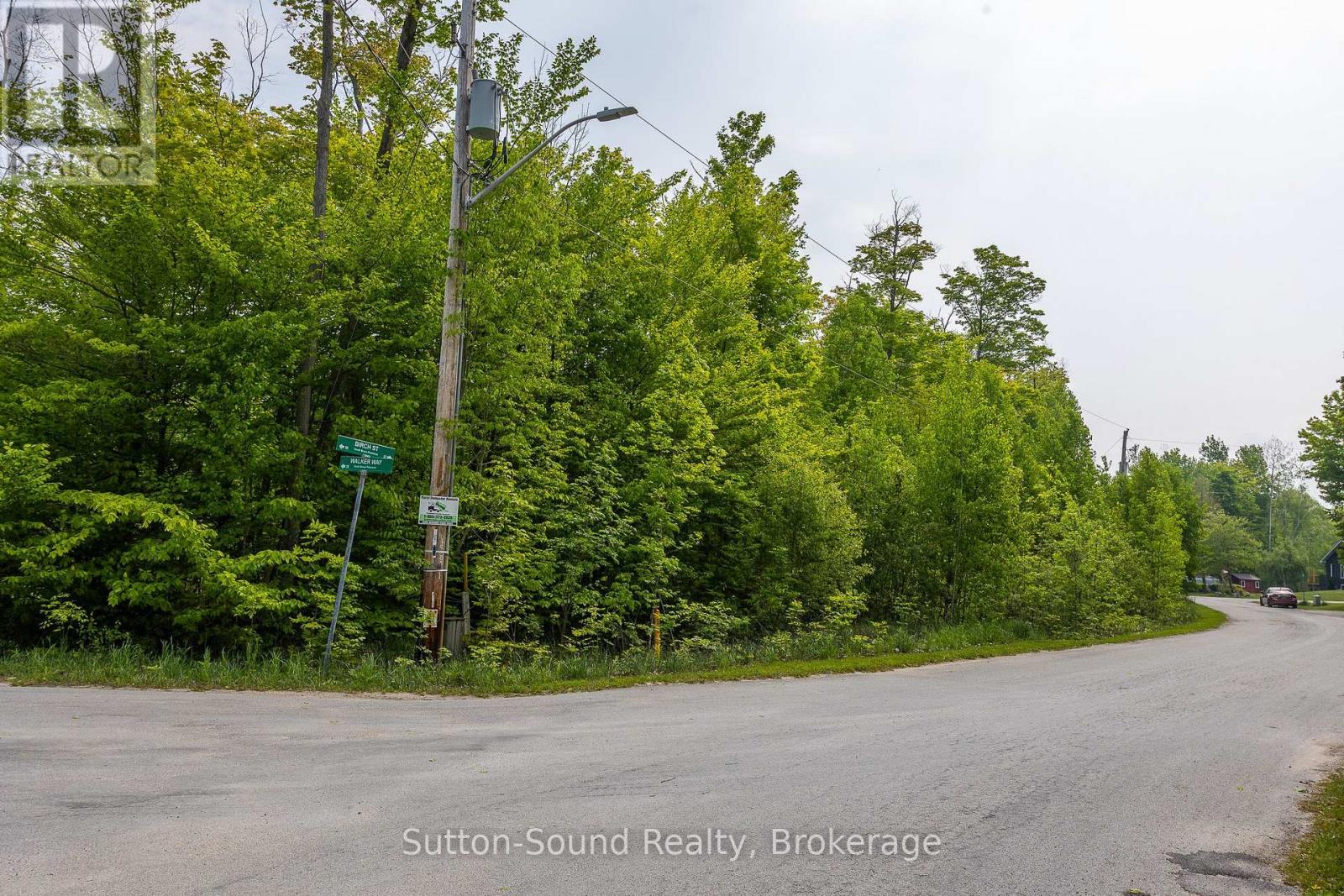59 Birch Street, South Bruce Peninsula, Ontario  N0H 2G0 - Photo 4 - X12203664