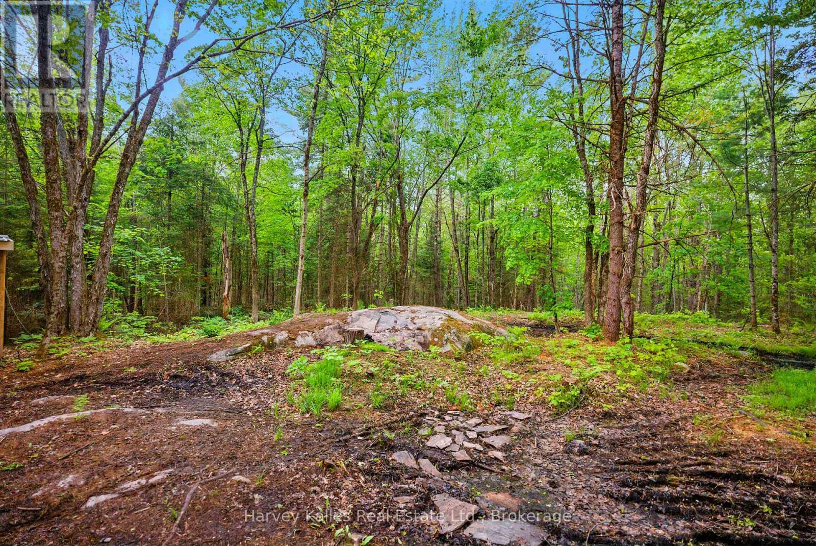 1165 Peterson Road, Bracebridge, Ontario  P1L 1X1 - Photo 49 - X12203764