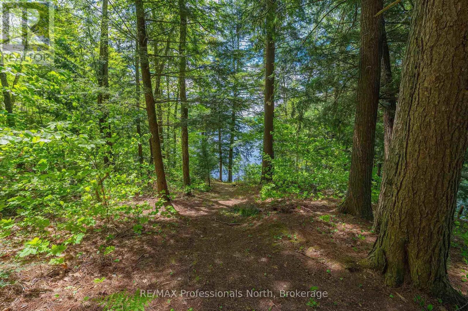 1023 Maiden Trail, Minden Hills, Ontario  K0M 2K0 - Photo 31 - X12204572