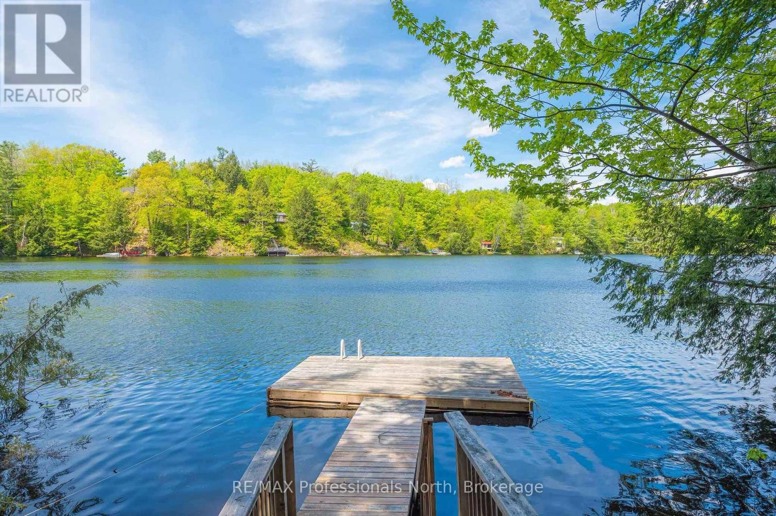1023 Maiden Trail, Minden Hills, Ontario  K0M 2K0 - Photo 34 - X12204572