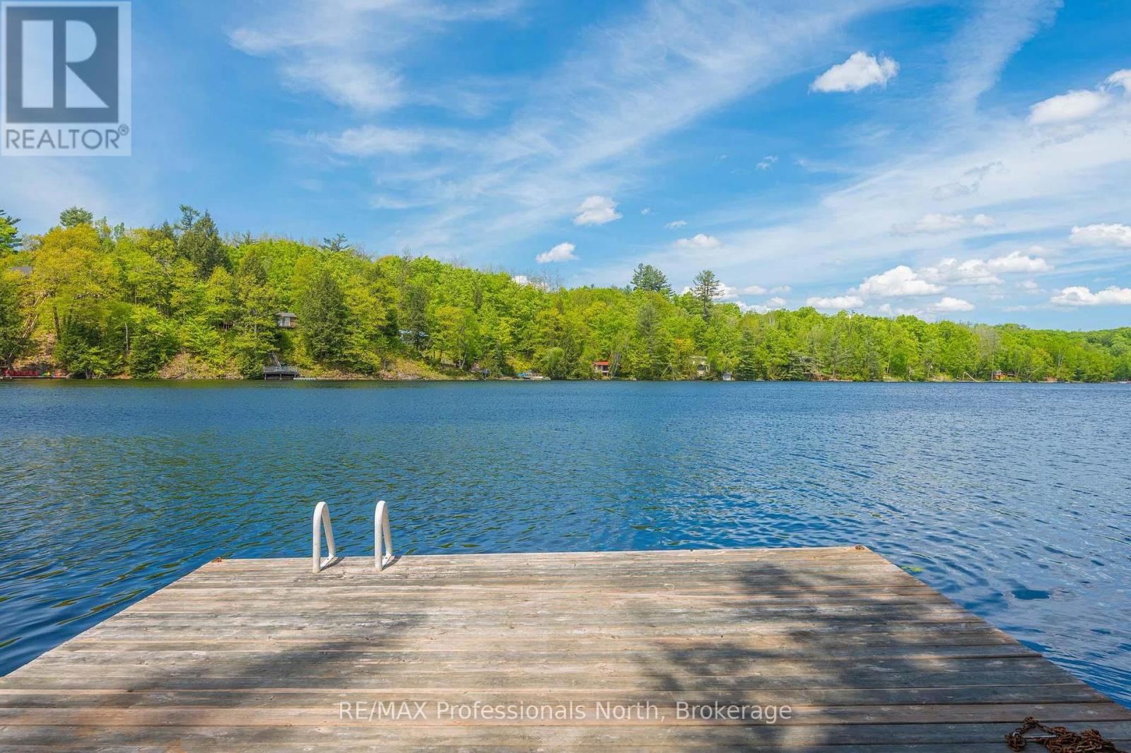 1023 Maiden Trail, Minden Hills, Ontario  K0M 2K0 - Photo 36 - X12204572