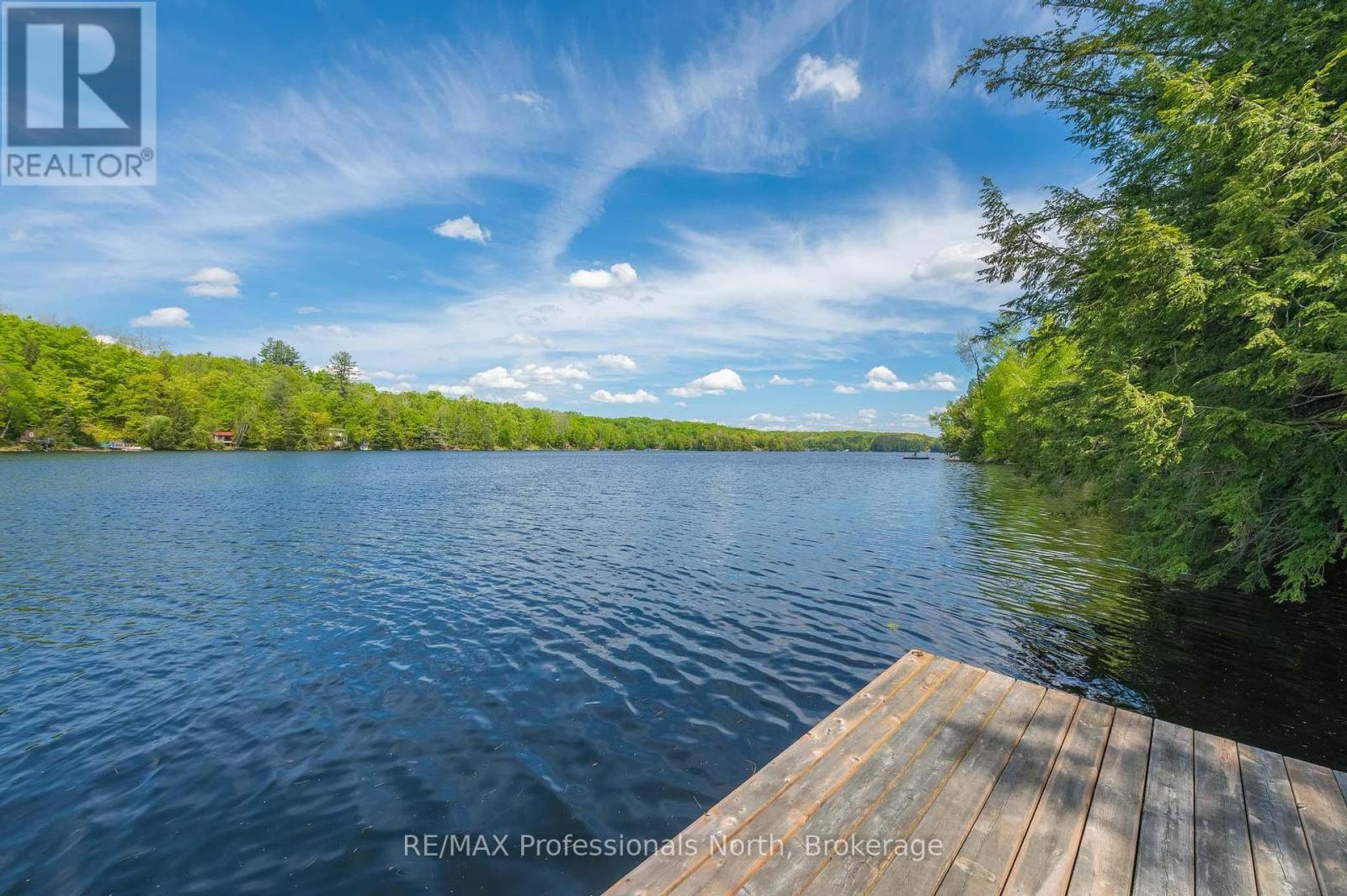 1023 Maiden Trail, Minden Hills, Ontario  K0M 2K0 - Photo 37 - X12204572