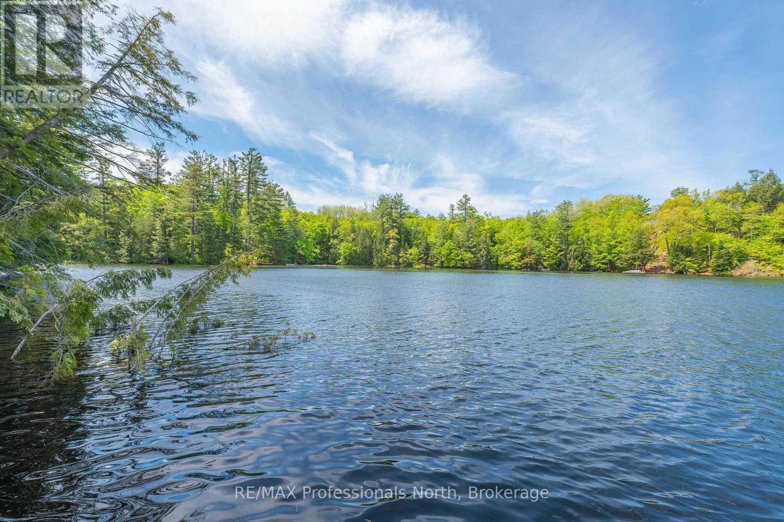 1023 Maiden Trail, Minden Hills, Ontario  K0M 2K0 - Photo 38 - X12204572