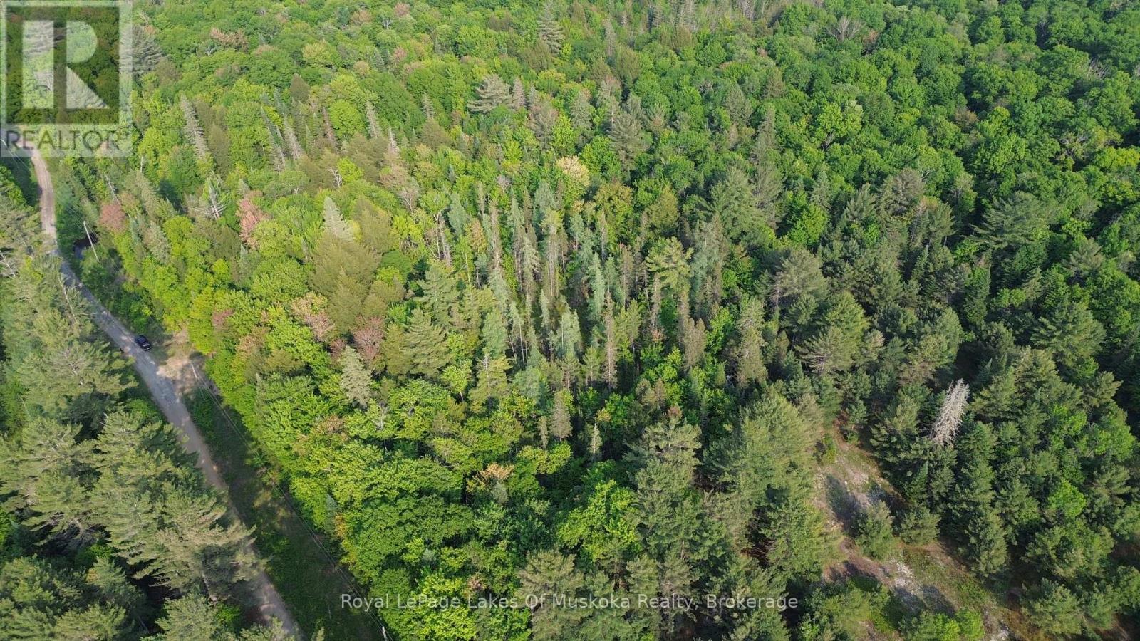 75 Centurian Trail, Huntsville, Ontario  P1H 2N5 - Photo 3 - X12205084