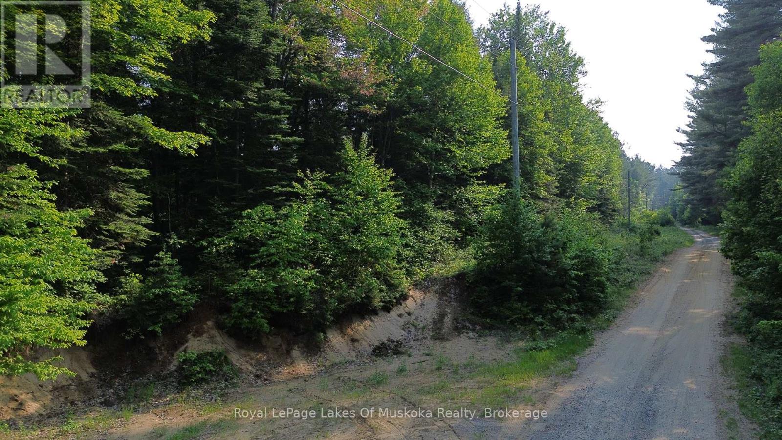 75 Centurian Trail, Huntsville, Ontario  P1H 2N5 - Photo 6 - X12205084