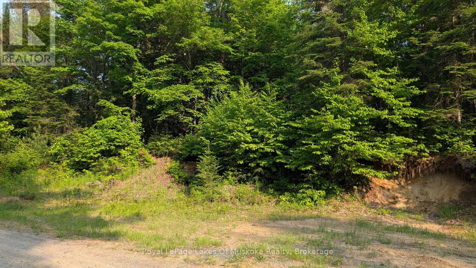 75 Centurian Trail, Huntsville, Ontario  P1H 2N5 - Photo 9 - X12205084