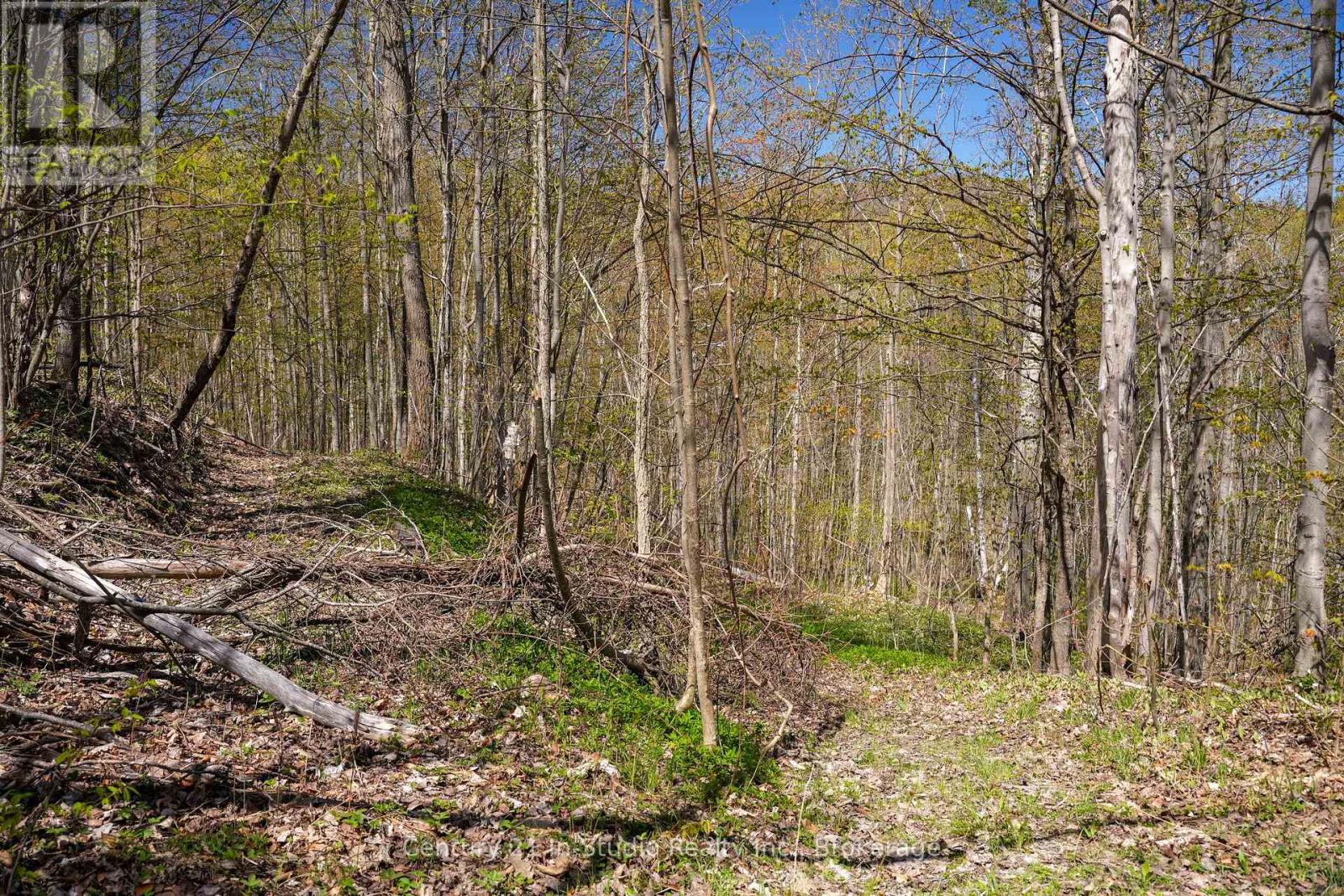 589901 GREY ROAD 19 ROAD, Blue Mountains, Ontario