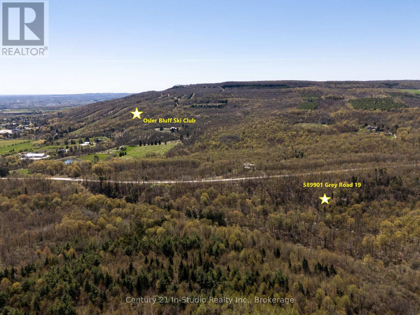 589901 Grey Road 19 Road, Blue Mountains, Ontario  L9Y 0P5 - Photo 5 - X12205188
