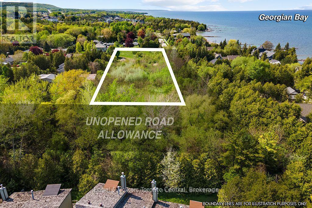 39 Bay Street, Blue Mountains, Ontario  N0H 2P0 - Photo 11 - X12205391