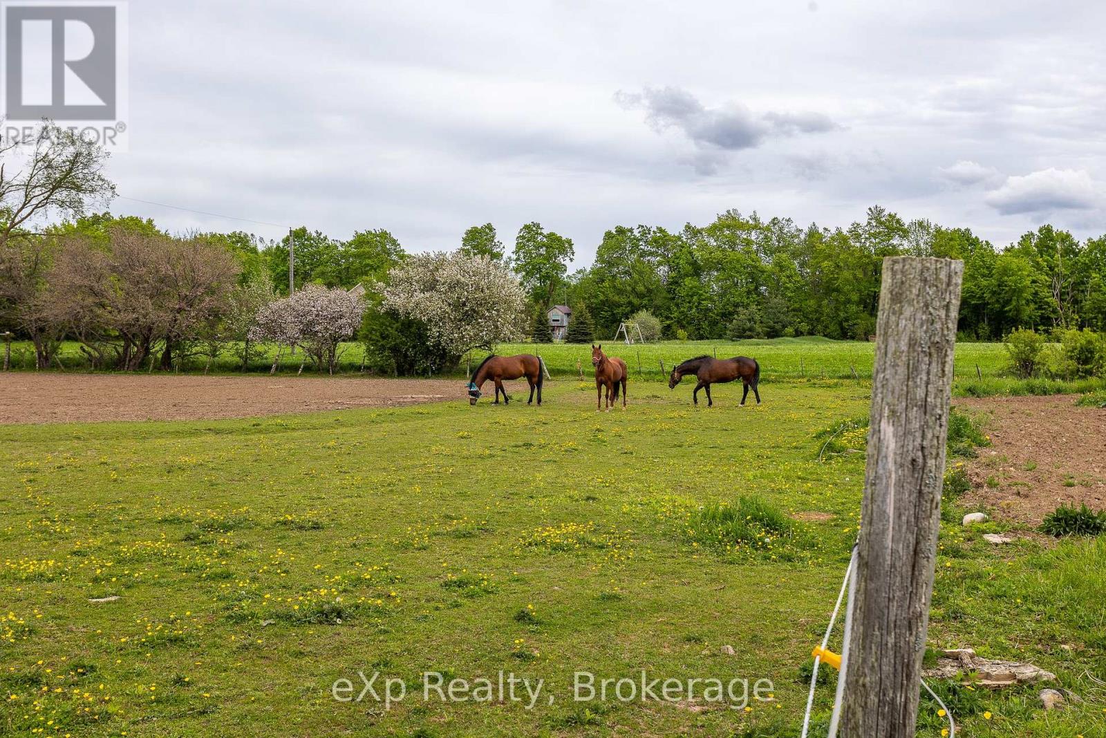 46304 Old Mail Road, Meaford, Ontario  N4L 1W7 - Photo 29 - X12205841