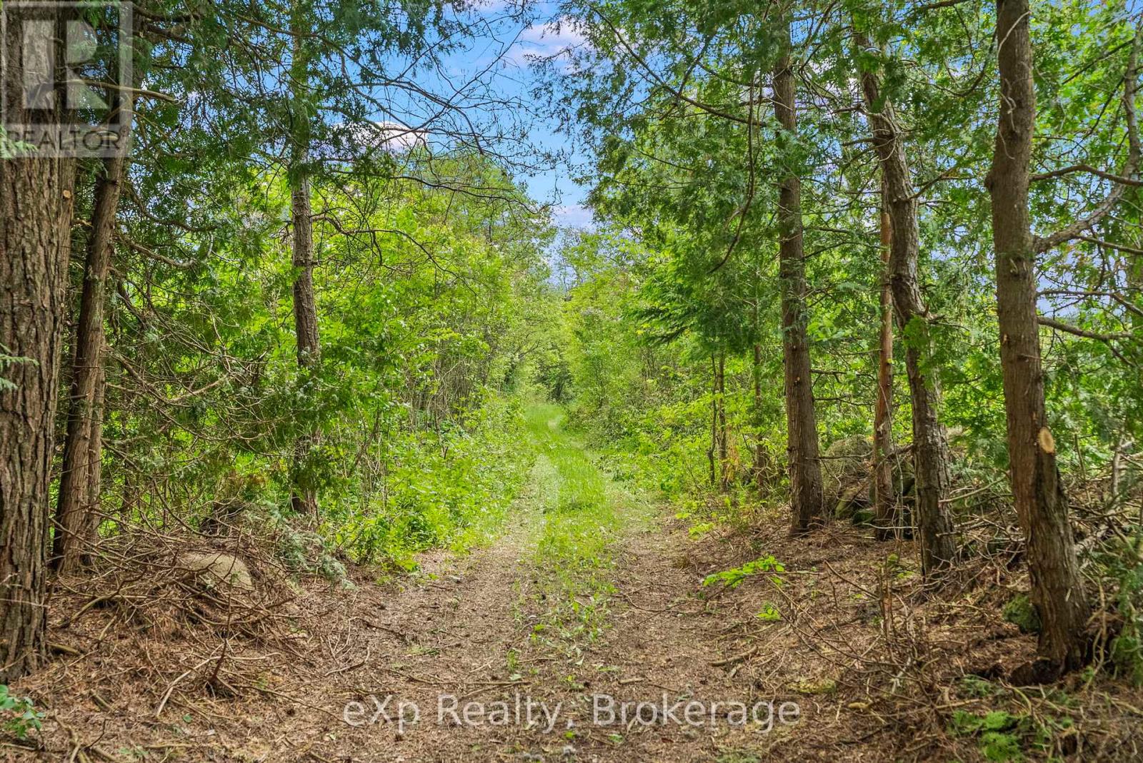 314839 Highway 6, West Grey, Ontario  N0G 1R0 - Photo 15 - X12205881