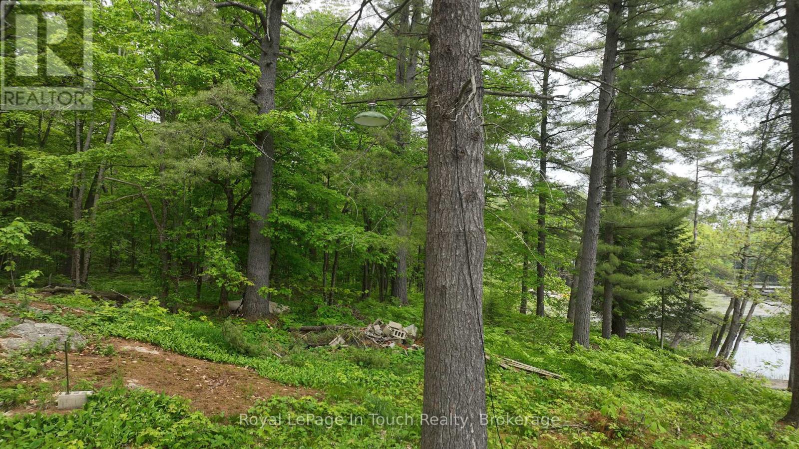 19 Sr404 Severn River Shore, Muskoka Lakes, Ontario  L0K 1E0 - Photo 5 - X12205913