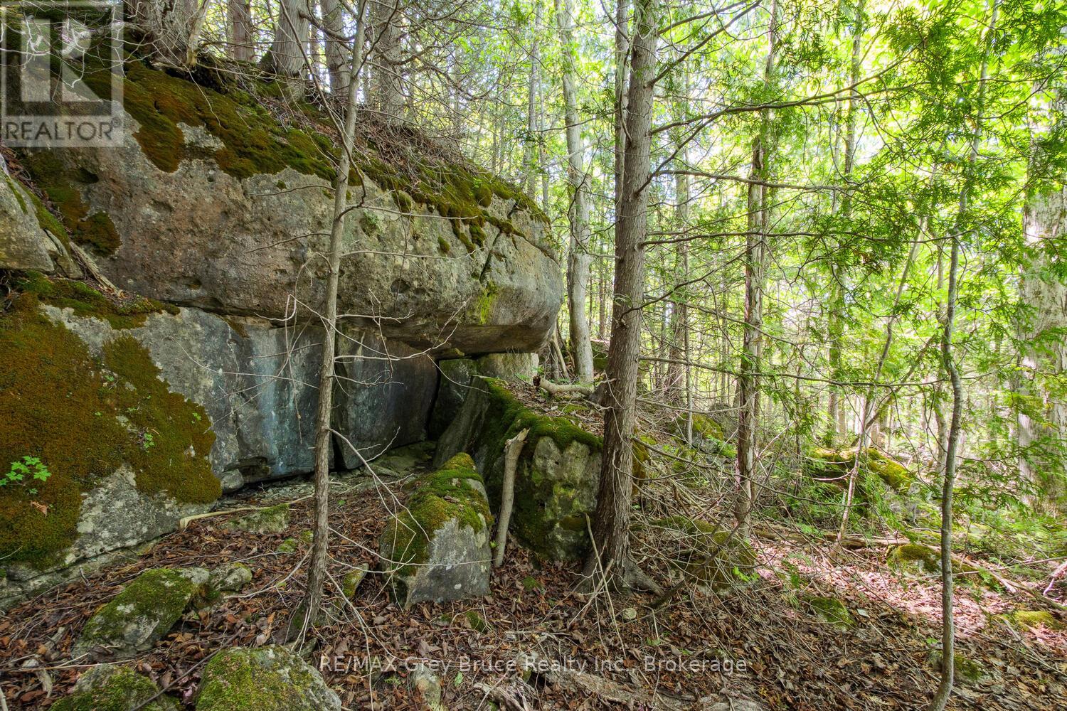 186 Cape Chin N Road, Northern Bruce Peninsula, Ontario  N0H 1W0 - Photo 49 - X12205935