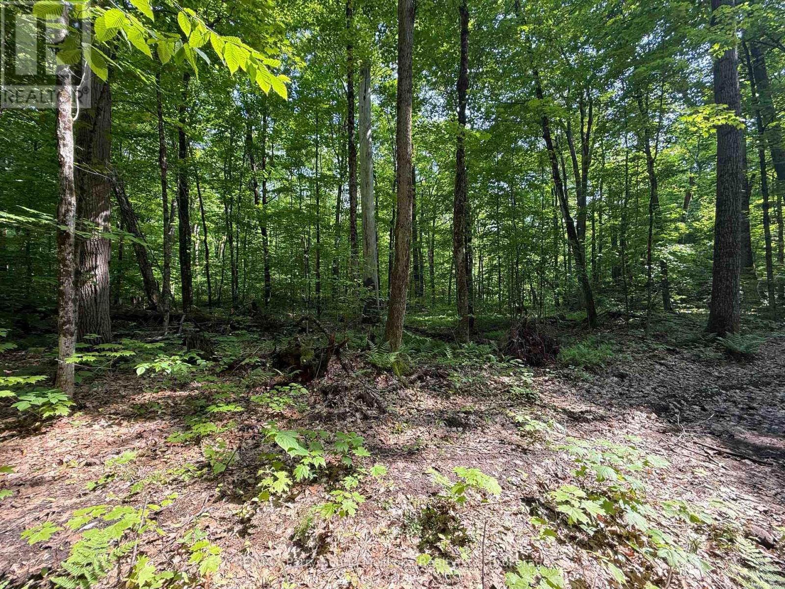 33 Lioness Road, Seguin, Ontario  P2A 2W8 - Photo 13 - X12207543