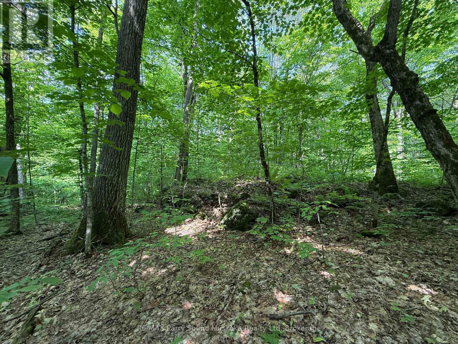 33 Lioness Road, Seguin, Ontario  P2A 2W8 - Photo 15 - X12207543