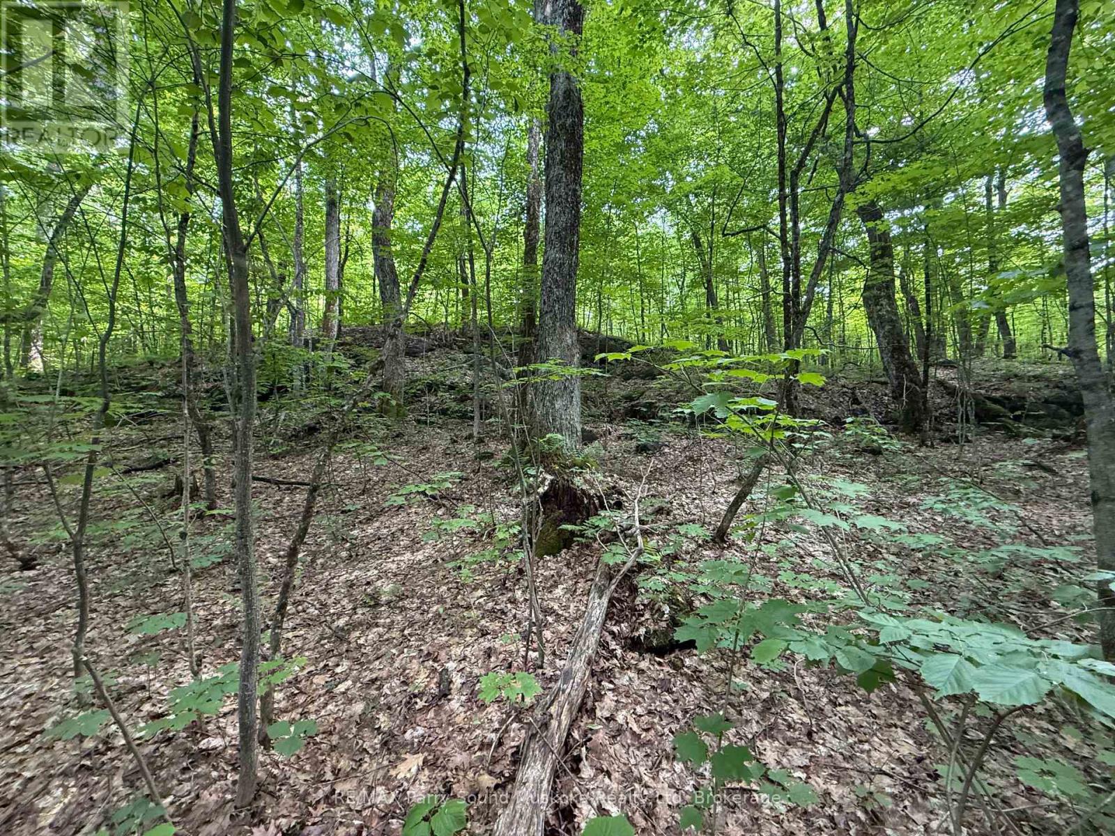 33 Lioness Road, Seguin, Ontario  P2A 2W8 - Photo 18 - X12207543