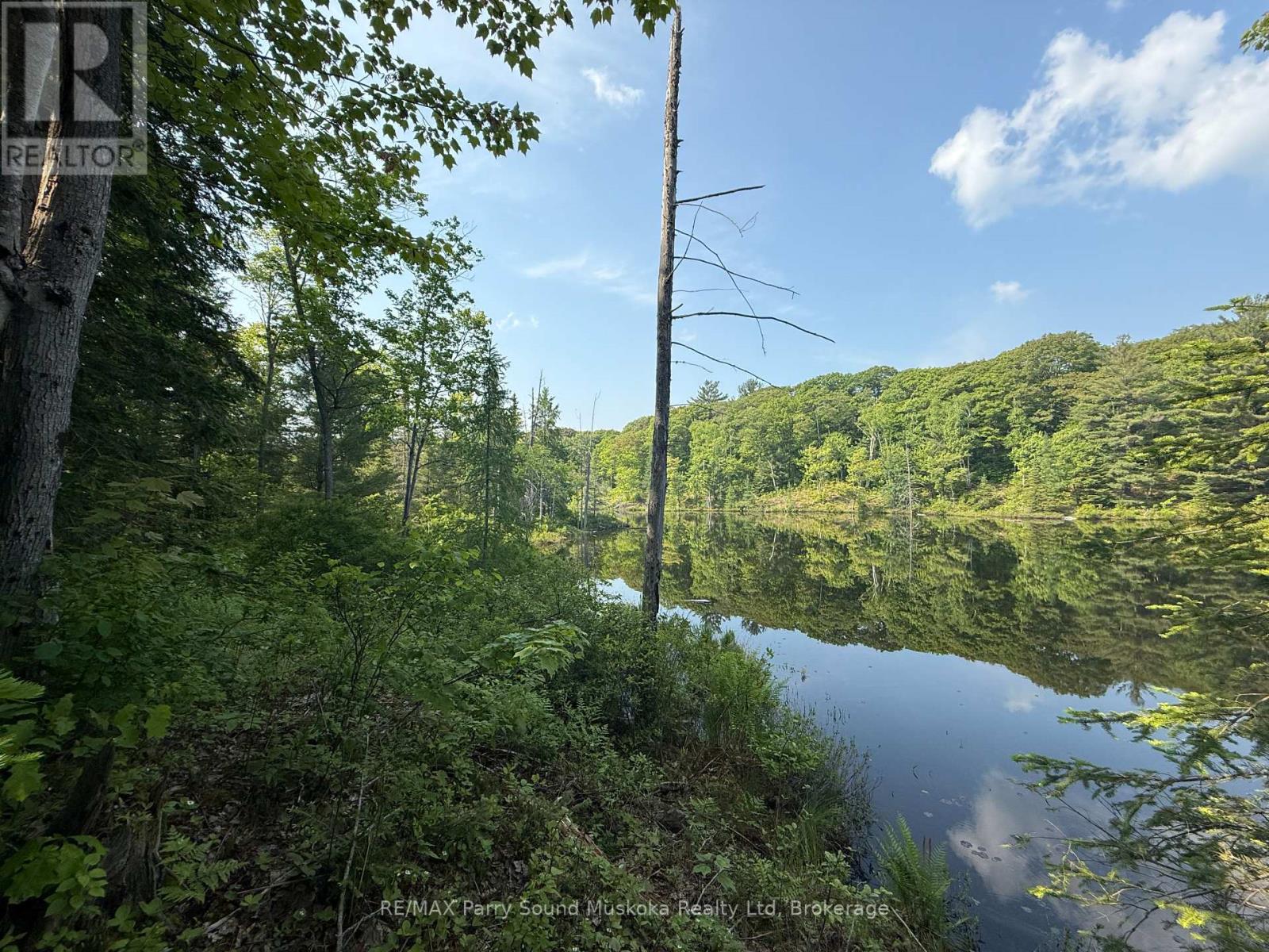 33 Lioness Road, Seguin, Ontario  P2A 2W8 - Photo 30 - X12207543