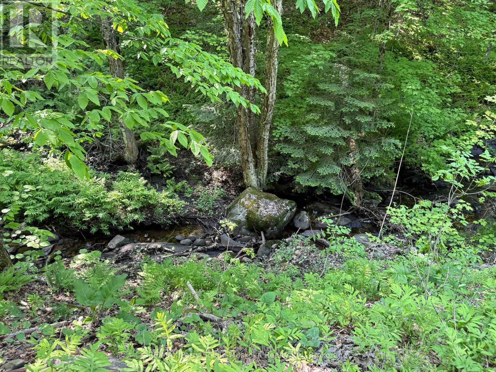 33 Lioness Road, Seguin, Ontario  P2A 2W8 - Photo 37 - X12207543