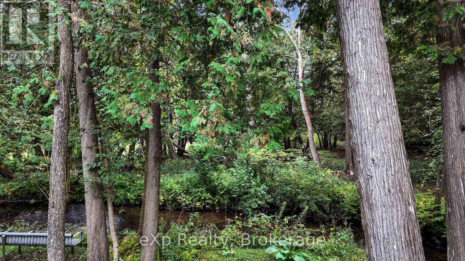119 Old Bridge Road S, West Grey, Ontario  N4N 3B8 - Photo 24 - X12207559