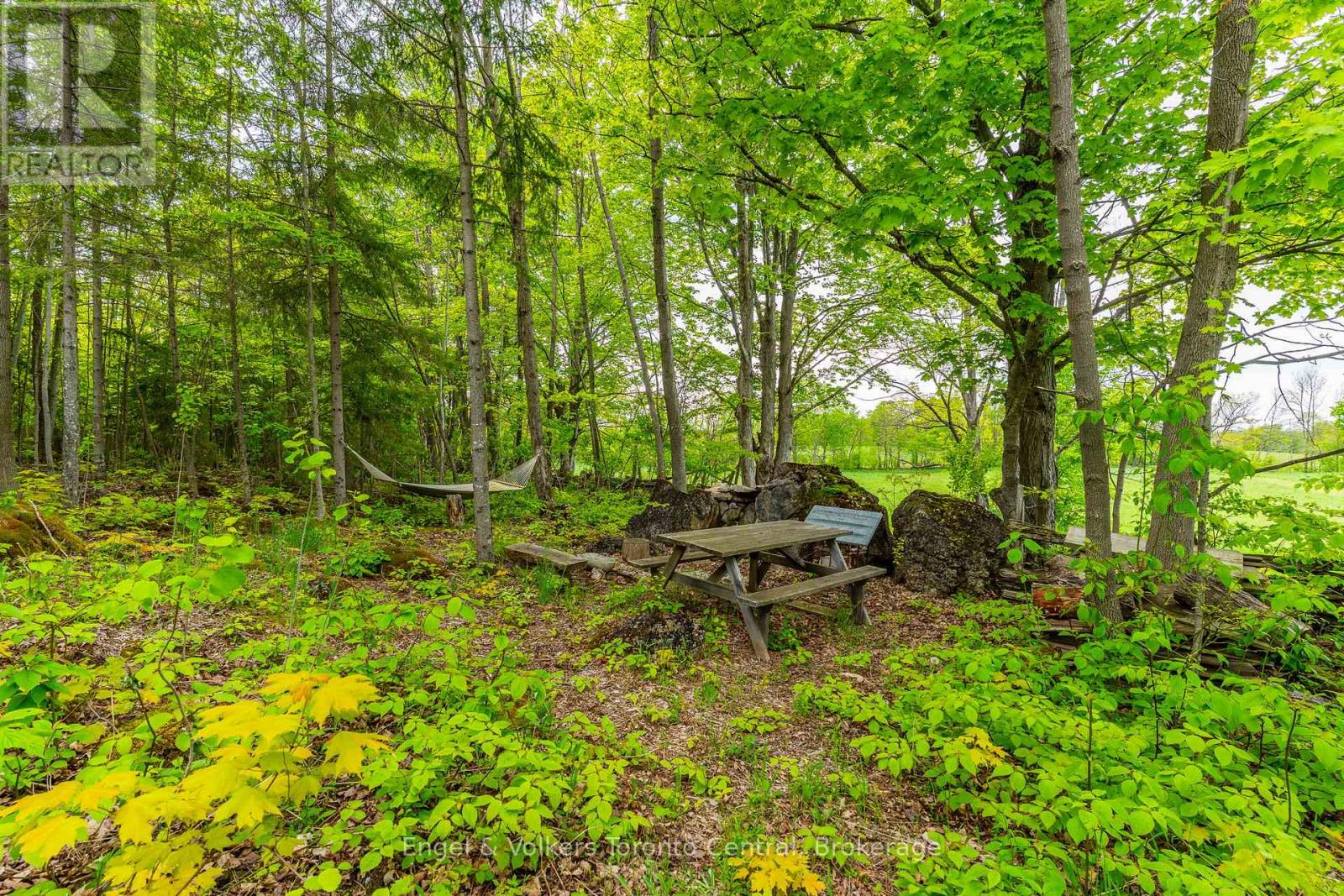 215588 Concession 4, Chatsworth, Ontario  N0H 2V0 - Photo 43 - X12208304